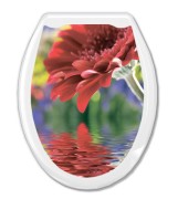 Сиденье для унитаза Океан жесткое с рисунком